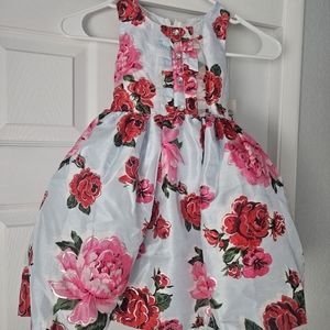 NWT Nanette toddler girl floral formal sleeveless dress